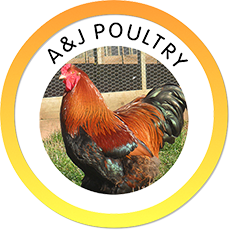 A&J Poultry